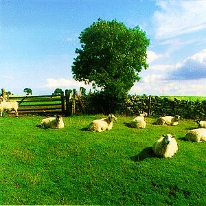 Chill Out / The KLF